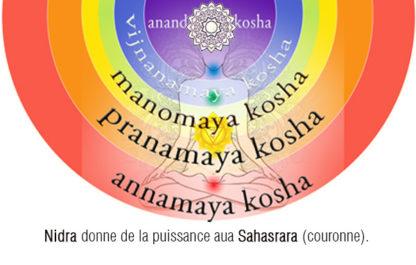 RNP 35 Nidra Essences de Prana Emosoin – Image 2