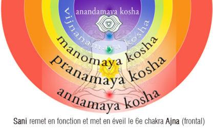 RNP 36 Sani Essences de Prana Emosoin – Image 2