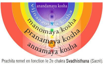 RNP 30 Prachita Essences de Prana Emosoin – Image 2