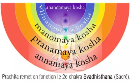 RNP 30 Prachita Essences de Prana Emosoin – Image 2