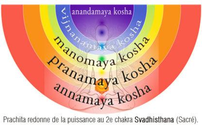 RNP 31 Pradipta Essences de Prana Emosoin – Image 2