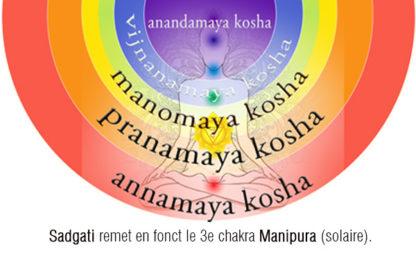 RNP 32 Sadgati Essences de Prana Emosoin – Image 4
