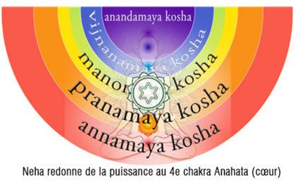 RNP  39 Prema Essences de Prana Emosoin – Image 2