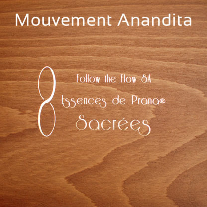 Don en faveur du Mouvement Anandita