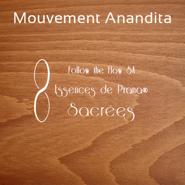 Mouvement Anadita Fikkow the Flow SA